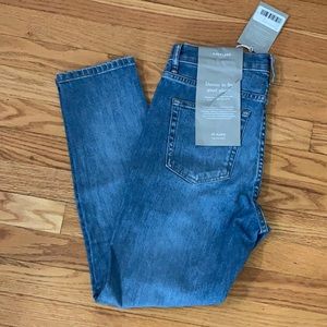 Everlane High Rise Skinny Jean